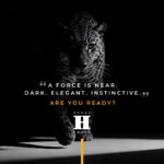 Pantera Launch Campaign Teaser